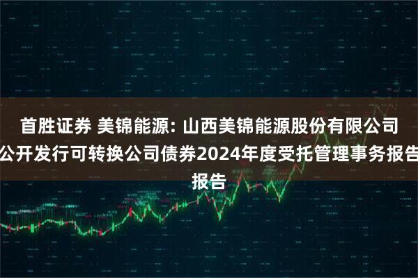首胜证券 美锦能源: 山西美锦能源股份有限公司公开发行可转换公司债券2024年度受托管理事务报告