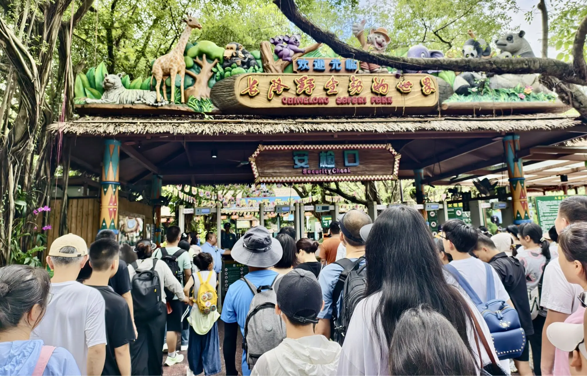 中国配资网 探访全球首例大熊猫三胞胎，解锁11年 “萌” 动奇迹