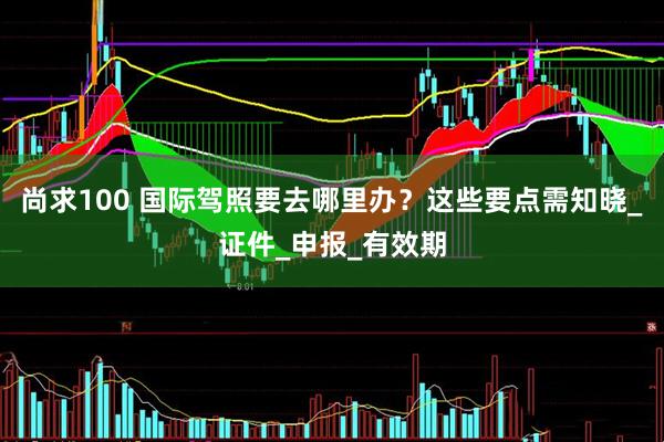 尚求100 国际驾照要去哪里办？这些要点需知晓_证件_申报_有效期