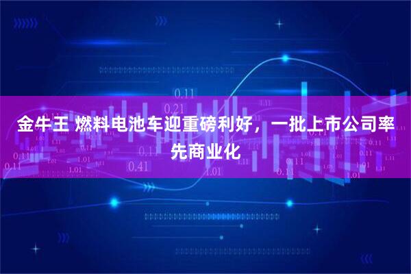 金牛王 燃料电池车迎重磅利好，一批上市公司率先商业化